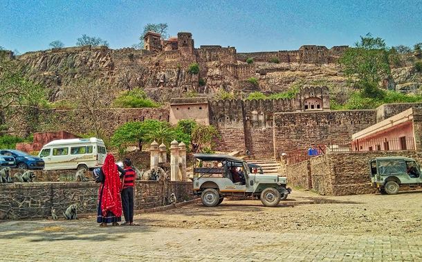 Annual Picnic to Ranthambore , 2025